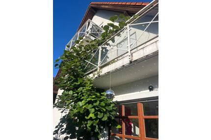 WG Zimmer Souterrain Wohnung - 1.300,00&nbsp;EUR Kaltmiete, ca.&nbsp; 211,00&nbsp;m&sup2; in München (PLZ: 81477) Thalkirchen-Obersendling-Forstenried-Fürstenried-S
