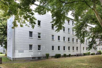Wohnung zum Mieten in Dortmund 481,00 € 52.7 m²