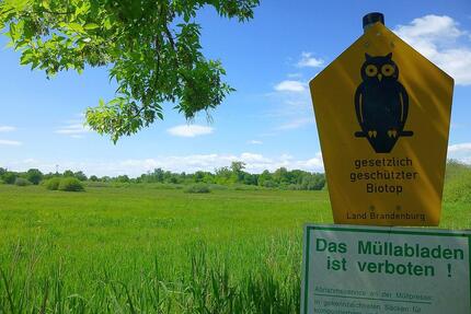 Gesuch: Zimmer im Grünen, gerne WG +Extras +Hilfe +Provision - Brandenburg an der Havel Bahnhofsvorstadt