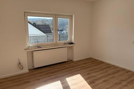 2x Kernsanierte 3 Zimmer Wohnung in Sterzhausen - Lahntal