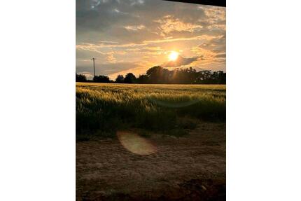 6-Zimmer Wohnung, Wohnen am Ortsrand, große Erdgeschoss-Wohnung - Großmehring