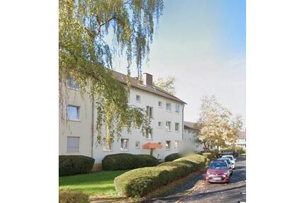 65qm Wohnung Vermietung Bonn Friesdorf 3 Zimmer Garten Miete