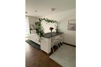 1-Zimmer Apartment in Ulm-Weststadt - Münster Münster-Südost