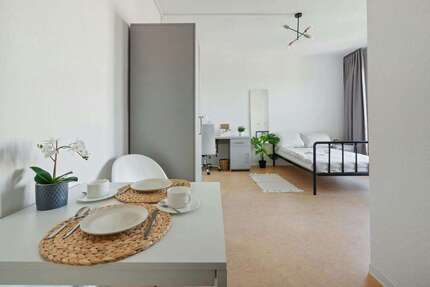 Wohnen auf Zeit in Dresden 659,00 €