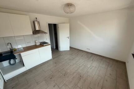 1 Zimmer Wohnung zu vermieten - ab sofort verfügbar - Wetzlar Naunheim