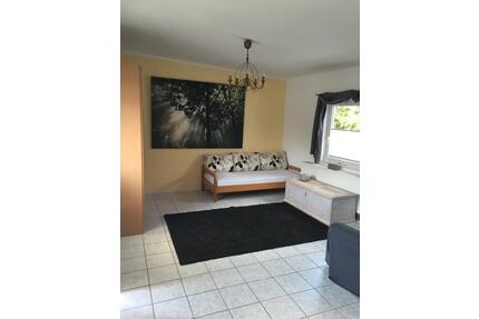 Kleines 1 Zimmer Apartment zu vermieten - Leidersbach
