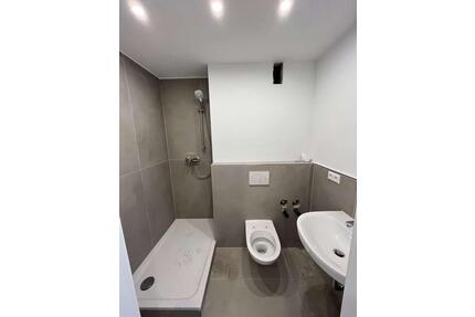 Top sanierte 1-Zimmer-Wohnung mit EBK & Stellplatz - Mannheim Fahrlach