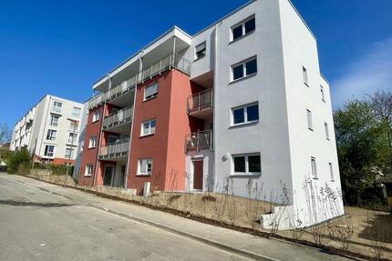 barrierearme Wohnung - auch als WG möglich - Kassel Fasanenhof