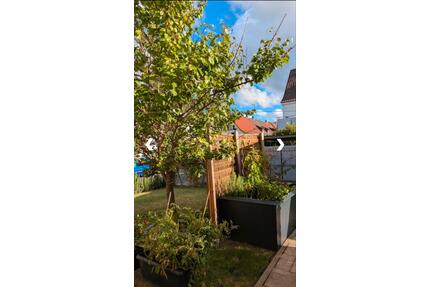 WG Zimmer Wohngemeinschaft Wohnung - Schweinfurt Gartenstadt