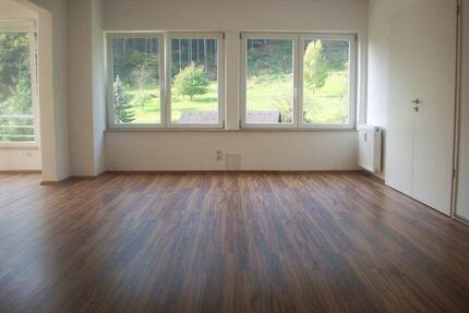 Attraktive 3 Zimmer Wohnung in Ziegelhausen - Heidelberg Peterstal