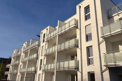 Wohnung zum Mieten in Ginsheim-Gustavsburg 820,00 € 50 m²