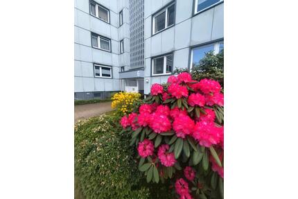 Wunderschöne 3 Zimmer Wohnung am Scharpenacken - Wuppertal Gemarkung Elberfeld