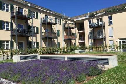 Wohnung zum Mieten in Augsburg 800,00 € 64.85 m²