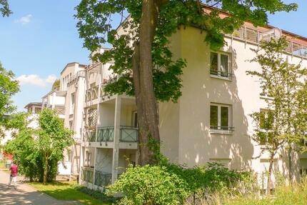 Dachterrassenwohnung direkt an der TU Dresden