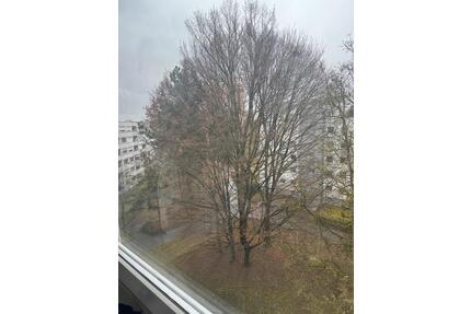 Sehr helle, neu sanierte 2 Zimmer Wohnung mit Balkon. - Bietigheim-Bissingen