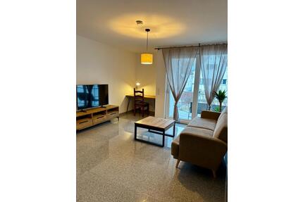 2 Zimmer Wohnung mit Balkon 54qm voll möbliert in Mainz Weisenau