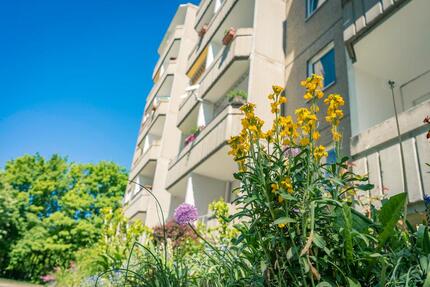 3-Zimmer-Wohnung nahe Küchwald - 250,00&nbsp;EUR Kaltmiete, ca.&nbsp; 52,73&nbsp;m&sup2; in Chemnitz (PLZ: 09114) Borna-Heinersdorf