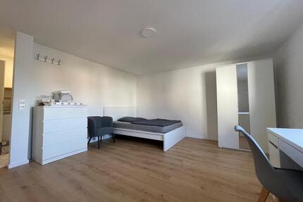 1-Zimmer Apartment vollmöbliert, eigenes Bad & Küche & Internet - Singen (Hohentwiel)
