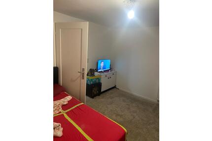 1 Zimmer Wohnung mit Küche und Bad - Wiesensteig