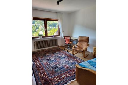 Freies Zimmer in Heidelberg in einer ruhigen 2er Mädchen-WG 14m2