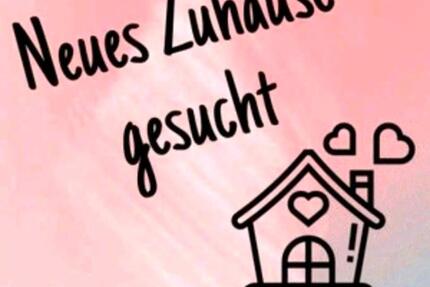 3 Zimmer Wohnung Kr-Bockum - 1.300,00&nbsp;EUR Kaltmiete, ca.&nbsp; 80,00&nbsp;m&sup2; in Krefeld (PLZ: 47800) Bockum