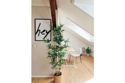 Wohnen auf Zeit in Darmstadt 1.390,00 €