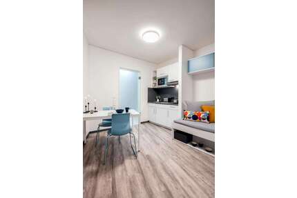 Wohnen auf Zeit in Dresden 699,00 €