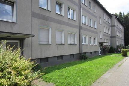 Lust auf Veränderung? Renovierte, citynahe 3-Zimmer-Wohnung - Essen Stadtbezirk VI