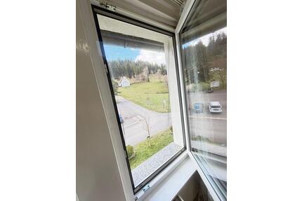 1 WG Zimmer zu vermieten - 420,00&nbsp;EUR Kaltmiete, ca.&nbsp; 16,00&nbsp;m&sup2; in Freudenstadt (PLZ: 72250)