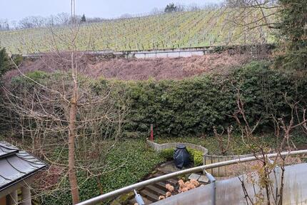 Exklusive 3 Zimmer Wohnung am Neroberg Direkt am Weinberge - Wiesbaden Nordost