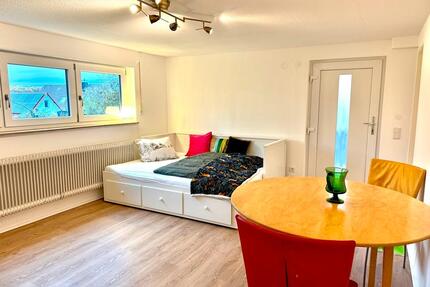 1 12 Zimmer Wohnung in Höchberg - Würzburg Frauenland