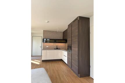 2 Zimmer Wohnung zu vermieten direkt am Rhein - Bingen am Rhein