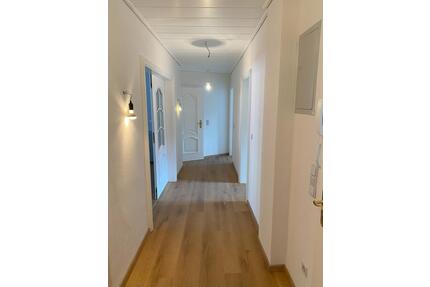 frisch sanierte 2-Zimmer-Wohnung mit Stuck und Balkon - Hagen