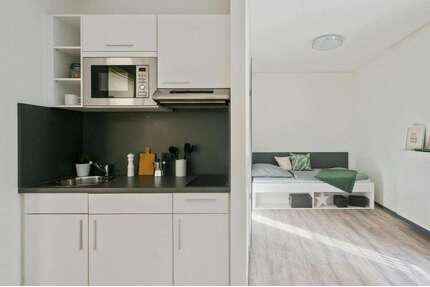 Wohnen auf Zeit in Dresden 619,00 €