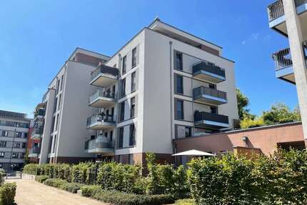 Wohnung zum Mieten in Dresden 1.320,00 € 82.5 m²