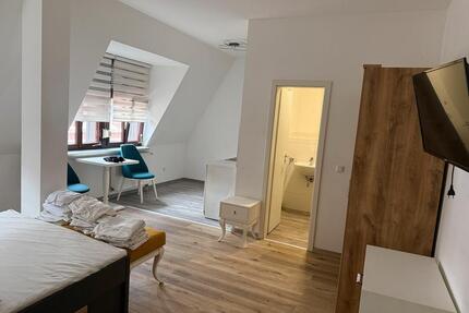 Großes 1-Zimmer Apartment mit einer Küche - Buckenhof