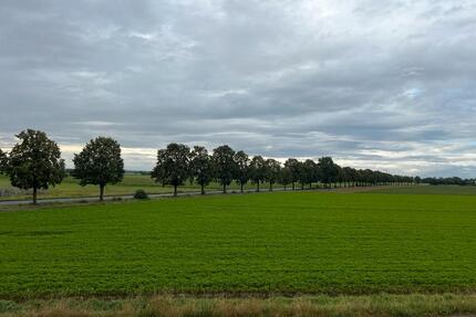 Wohngemeinschaft:WG - 500,00&nbsp;EUR Kaltmiete, ca.&nbsp; 20,00&nbsp;m&sup2; in Frechen (PLZ: 50226)