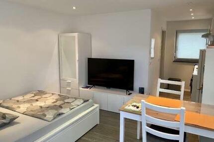 Modernes, schönes 1-Zimmer Apartment möbliert mit kleiner Terasse - Ostelsheim