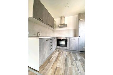 1 Zimmer Wohnung in Göppingen Holzheim - Großbettlingen