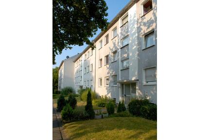 Mitten im Grünen! 3-Zimmer Wohnung in Bielefeld Senne