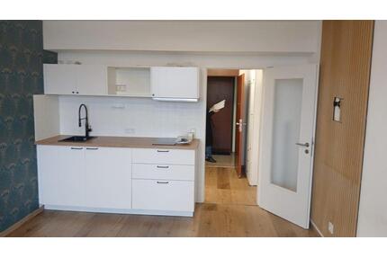 1 Zimmer Wohnung 630 warm - 630,00&nbsp;EUR Kaltmiete, ca.&nbsp; 27,00&nbsp;m&sup2; in Nürnberg (PLZ: 90431) Gaismannshof