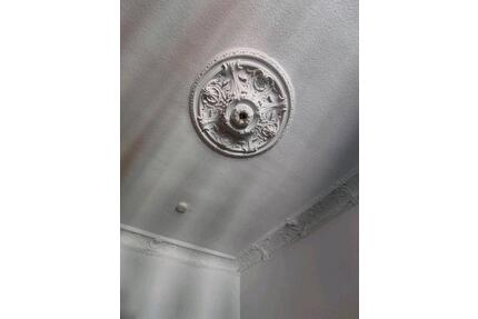 Zimmer frei in großer zentraler Altbauwohnung - Flensburg