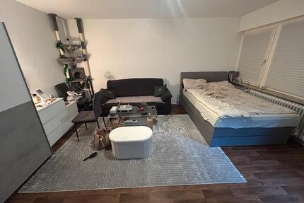 Einzimmer wohnung - 490,00&nbsp;EUR Kaltmiete, ca.&nbsp; 32,00&nbsp;m&sup2; in Wiesbaden (PLZ: 65195) Nordost