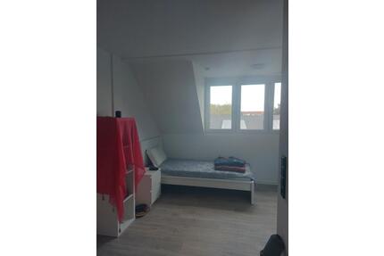 16qm Wohnung neu renoviert, Warmmiete, für 6 Monate, verlängerbar - Mannheim Herzogenried