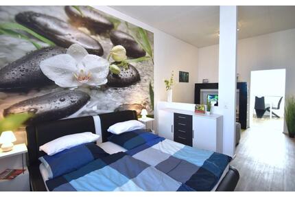 Vollmöbliertes 1-Zimmer-Apartment auf Zeit für 2 Personen in Frankfurt-Niederrad - Frankfurt am Main