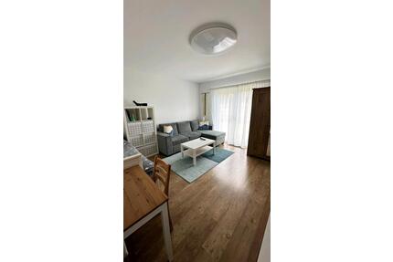 1 Zimmer Apartment, Wohnung voll möbiliert in KirchardtBerwangen