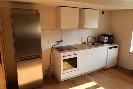 1,5 Zimmer Wohnung mit sep. Badezimmer (Pendler oder 1 Person) - Neckartenzlingen