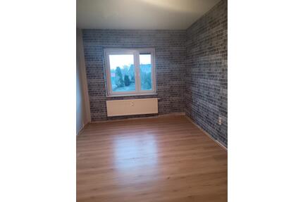 3 Zimmer Wohnung - 550,00&nbsp;EUR Kaltmiete, ca.&nbsp; 73,00&nbsp;m&sup2; in Nienburg (Saale) (PLZ: 06429)