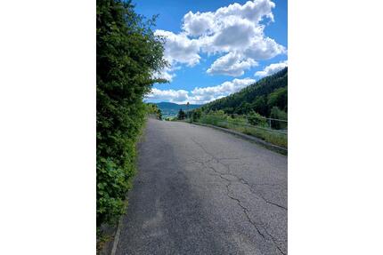 1 Zimmer Wohnung Bad herrenalb.