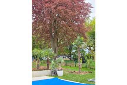 3 Zi. Wohnung komplett Eingerichtet - Dortmund Brackel